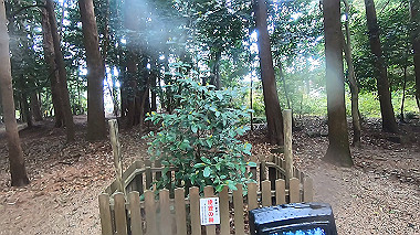 gx016376.mp4_snapshot_01.16_thumb.jpg