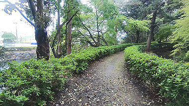 gx016381.mp4_snapshot_00.04_thumb.jpg