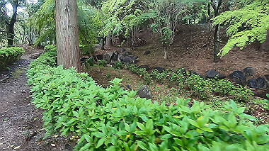 gx016381.mp4_snapshot_00.14_thumb.jpg