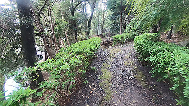 gx016381.mp4_snapshot_00.18_thumb.jpg