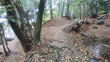 gx016381.mp4_snapshot_00.29_thumb.jpg