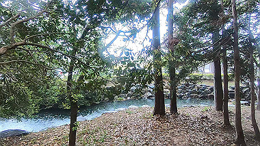 gx016381.mp4_snapshot_00.33_thumb.jpg