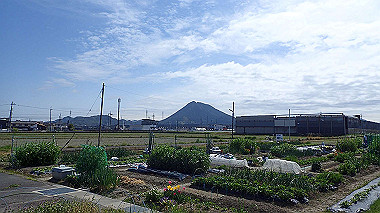 p4170672_thumb.jpg