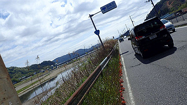p4170708_thumb.jpg