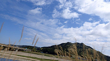 p4170710_thumb.jpg