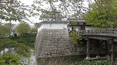 p4170799_thumb.jpg