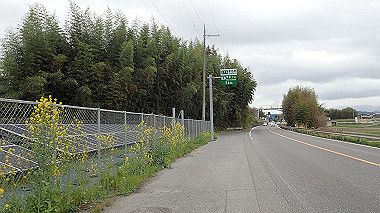 p4170845_thumb.jpg