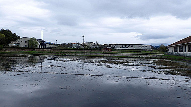 p4170846_thumb.jpg