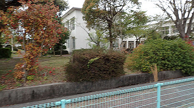 p4170850_thumb.jpg