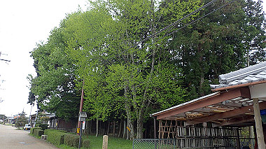 p4170855_thumb.jpg