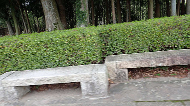 p4170858_thumb.jpg