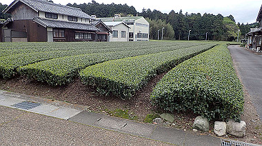 p4170869_thumb.jpg