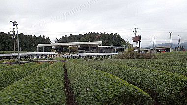 p4170875_thumb.jpg
