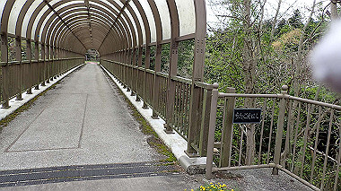p4170876_thumb.jpg