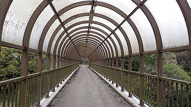 p4170877_thumb.jpg