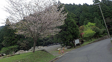 p4170947_thumb.jpg