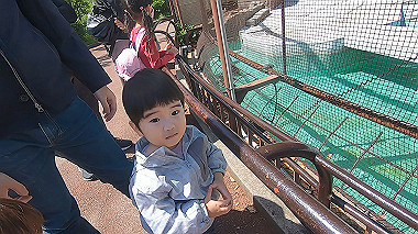 gx016383.mp4_snapshot_00.04_thumb.jpg