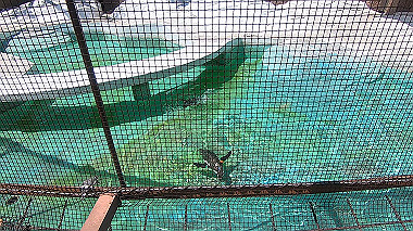 gx016384.mp4_snapshot_00.00_thumb.jpg