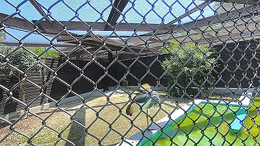 gx016385.mp4_snapshot_00.03_thumb.jpg
