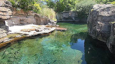 gx016385.mp4_snapshot_01.27_thumb.jpg