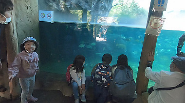 gx016385.mp4_snapshot_02.41_thumb.jpg