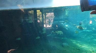 gx016385.mp4_snapshot_02.55_thumb.jpg