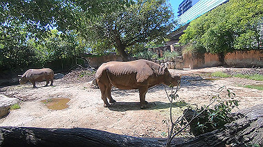 gx016387.mp4_snapshot_00.09_thumb.jpg