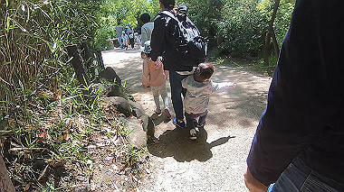 gx016387.mp4_snapshot_01.59_thumb.jpg