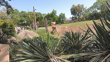 gx016388.mp4_snapshot_00.01_thumb.jpg