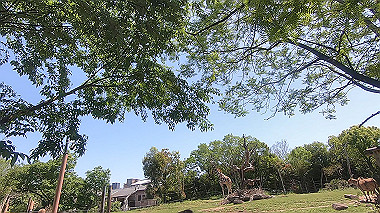 gx016389.mp4_snapshot_00.03_thumb.jpg