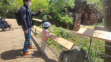 gx016390.mp4_snapshot_00.45_thumb.jpg