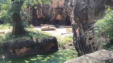 gx016391.mp4_snapshot_00.01_thumb.jpg
