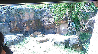 gx016392.mp4_snapshot_00.03_thumb.jpg