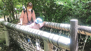 gx016395.mp4_snapshot_00.03_thumb.jpg