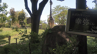 gx016395.mp4_snapshot_00.29_thumb.jpg