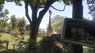 gx016395.mp4_snapshot_00.33_thumb.jpg