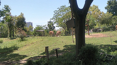 gx016396.mp4_snapshot_00.02_thumb.jpg