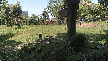 gx016396.mp4_snapshot_00.11_thumb.jpg