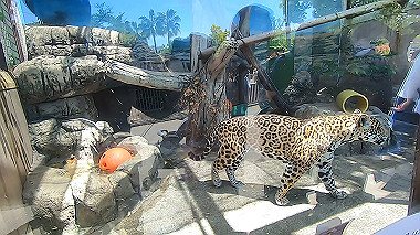 gx016397.mp4_snapshot_00.04_thumb.jpg