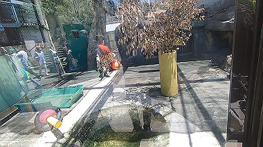 gx016397.mp4_snapshot_00.37_thumb.jpg