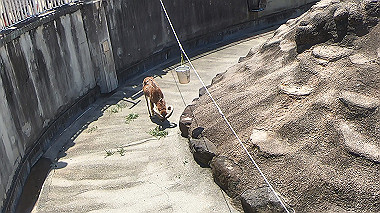 gx016399.mp4_snapshot_00.02_thumb.jpg