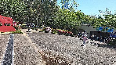 gx016409.mp4_snapshot_01.07_thumb.jpg
