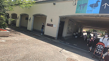 gx016409.mp4_snapshot_01.23_thumb.jpg