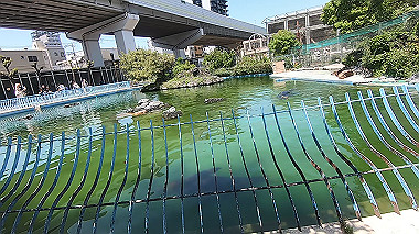 gx016413.mp4_snapshot_00.28_thumb.jpg