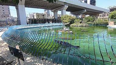 gx016413.mp4_snapshot_00.48_thumb.jpg