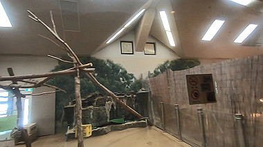 gx016415.mp4_snapshot_00.43_thumb.jpg