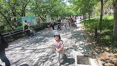 gx016417.mp4_snapshot_00.00_thumb.jpg
