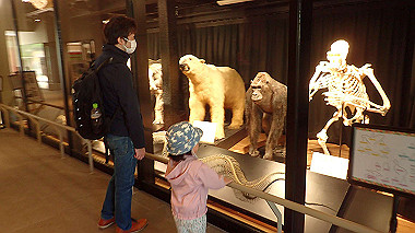 p4301031_thumb.jpg