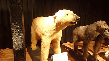 p4301032_thumb.jpg