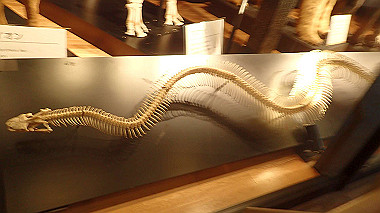 p4301034_thumb.jpg